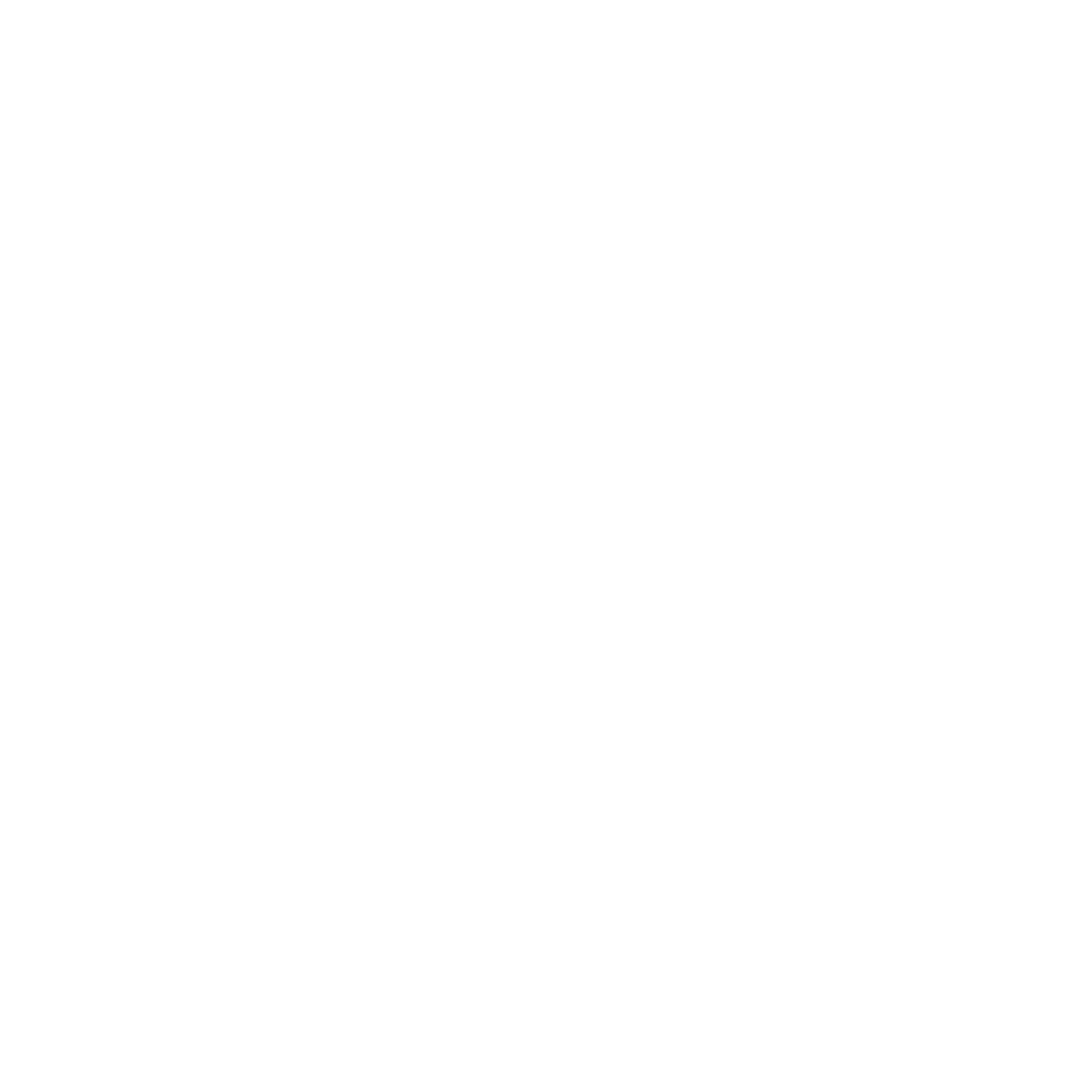 Lamborgini